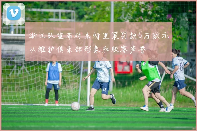 浙江队宣布对米特里策罚款6万欧元以维护俱乐部形象和联赛声誉