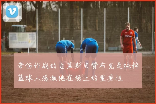 带伤作战的吉莱斯皮赞布克是纯粹篮球人感激他在场上的重要性